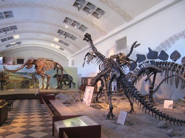 Natural History Museum of Utah